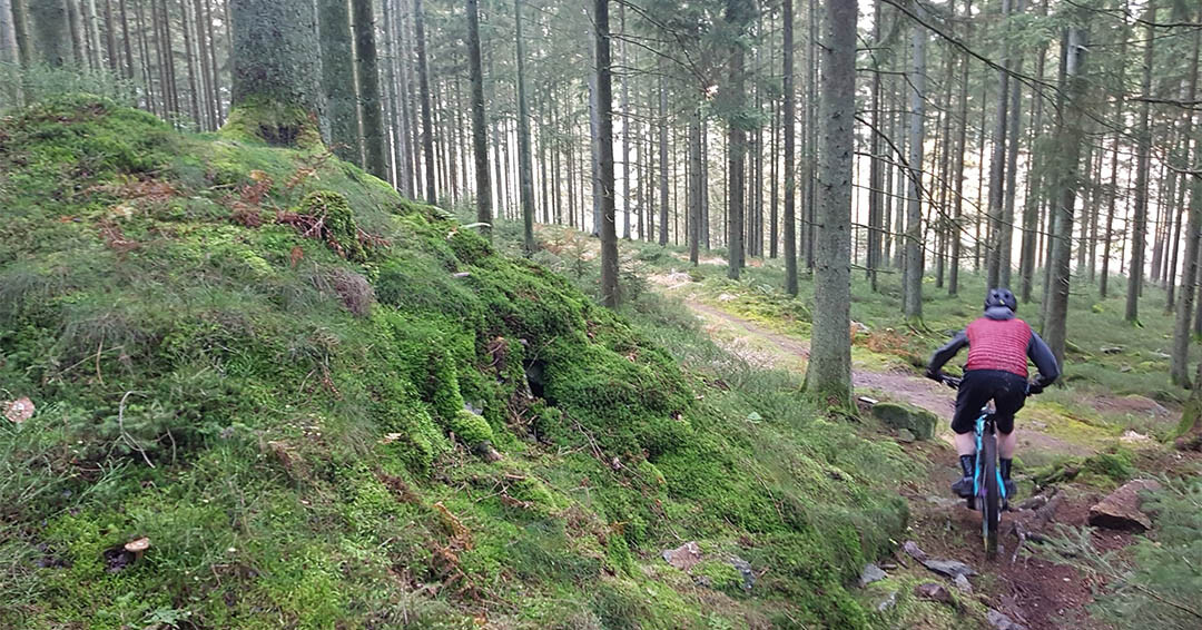 Dag 3 Stoneman Arduenna Driedaagse
