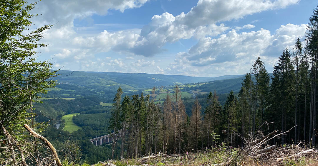 Dag 0 Mountainbiken in de Ardennen - Trois Ponts
