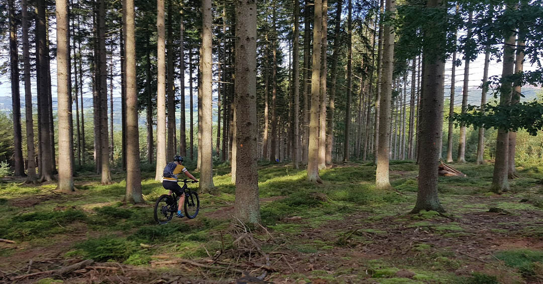 Dag 1 Mountainbiken in de Ardennen - Trois Ponts