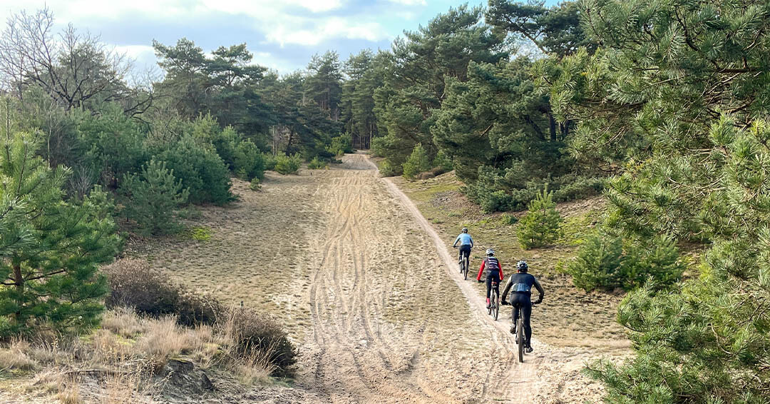 Verblijf Mountainbiken in De Kempen