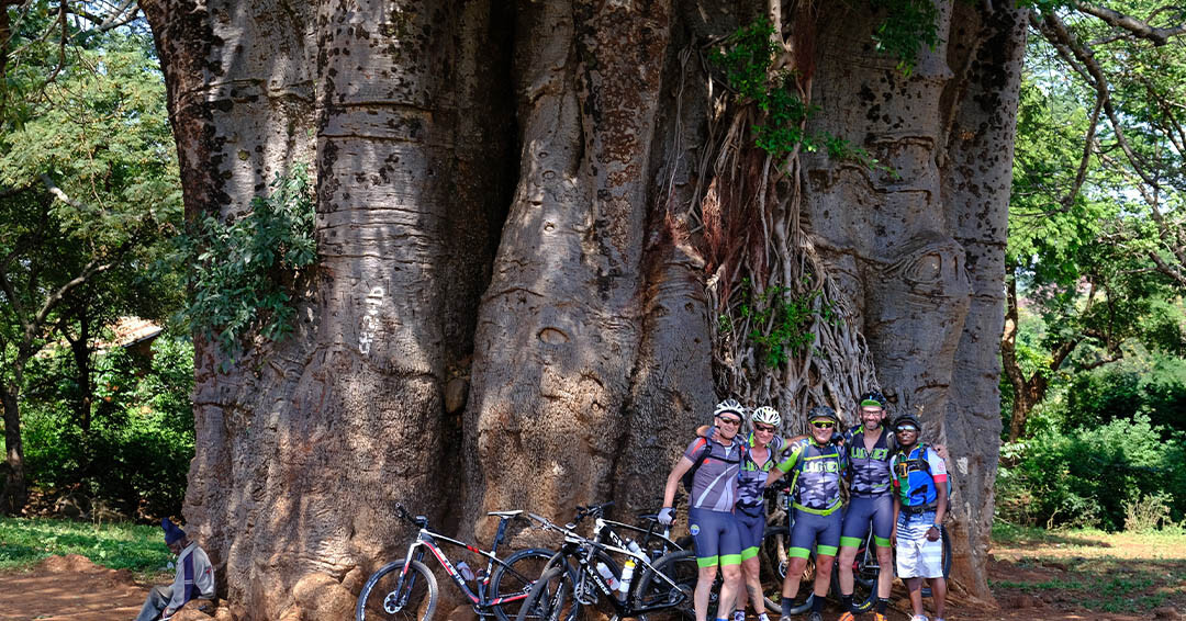 Dag 3 – Naar de top van de Kilimanjaro met de MTB