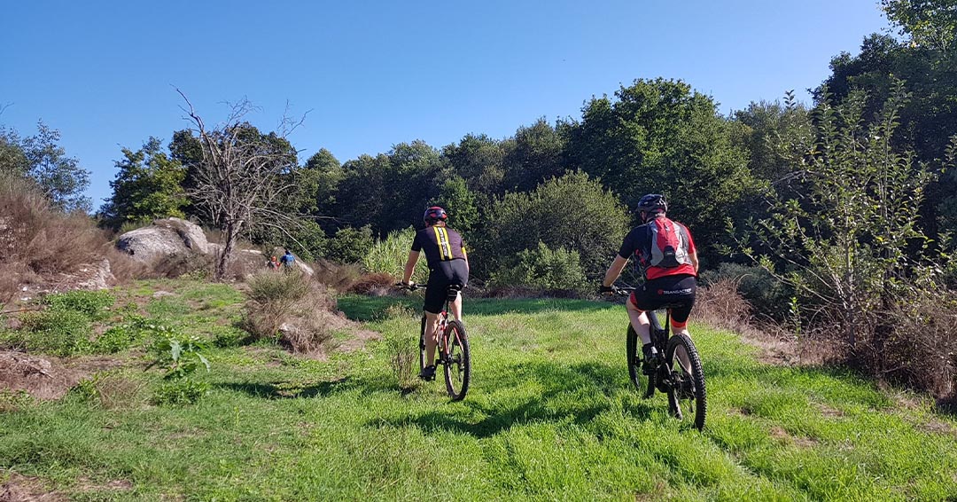 Dag 4 – Dagtocht vanuit de Quinta da Cerca