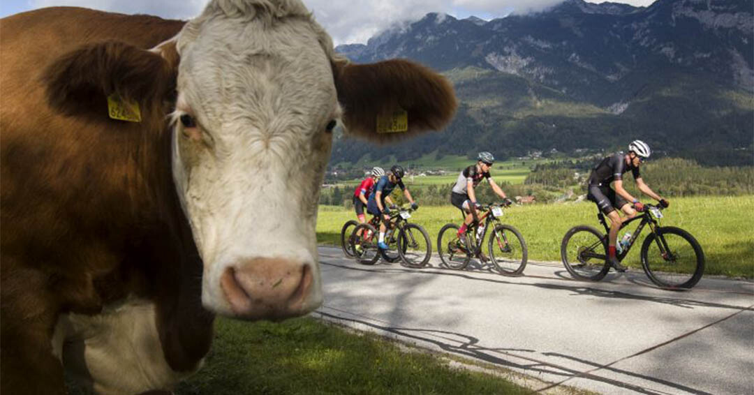 Dag 4 Alpentour Trophy Oostenrijk