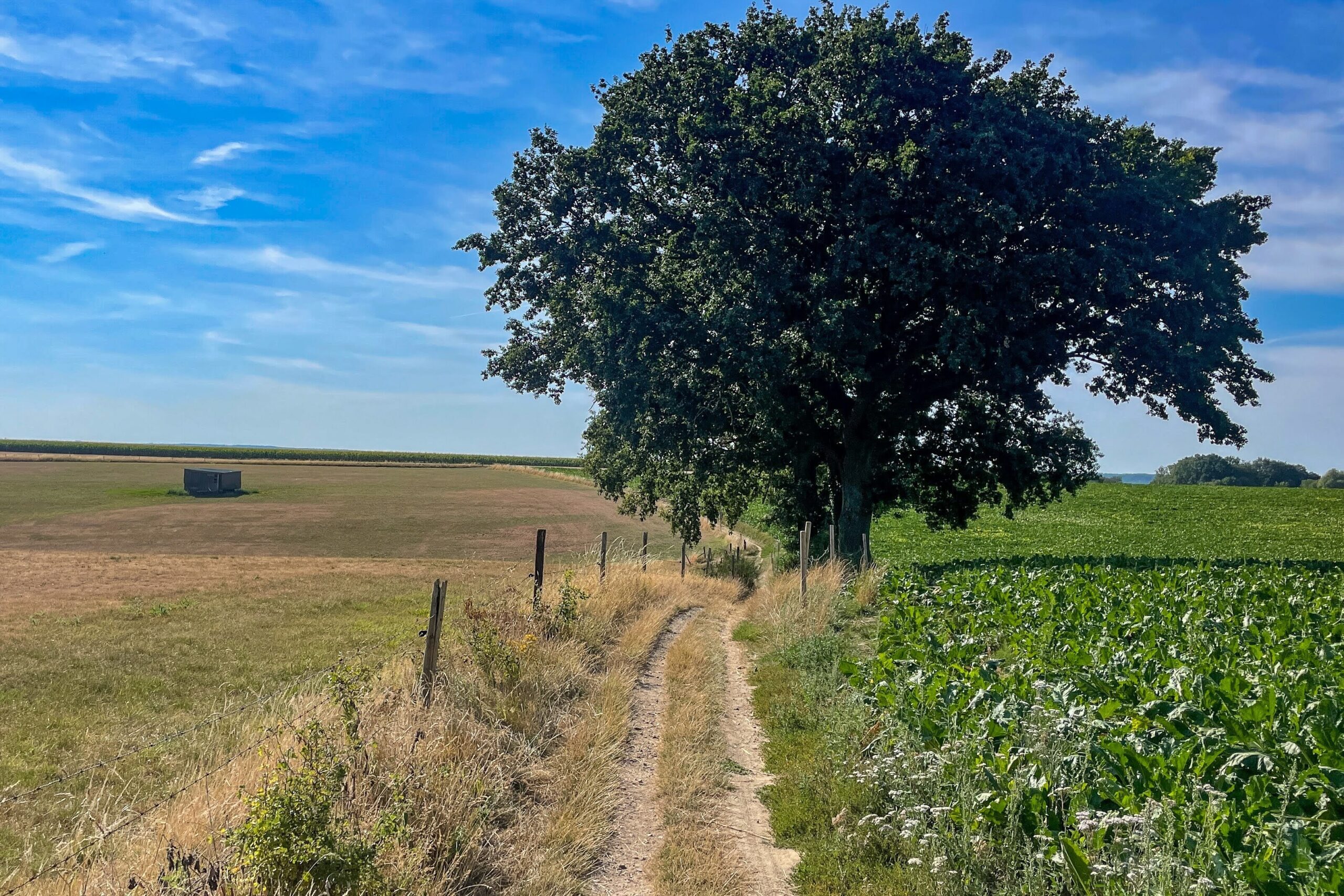 Dag 1 Mountainbiken in de Voerstreek